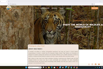 build professional wordpress website with elementor
