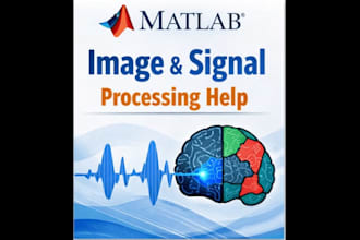 help with matlab image processing and research algorithms