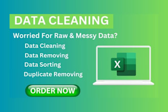 do data cleaning, data formatting and excel data cleanup