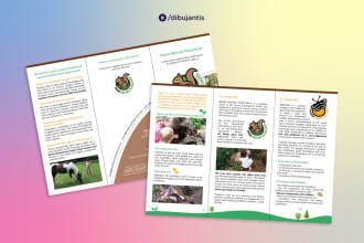design a poster, brochure or flyer for education or ads
