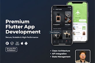 build flutter app with clean architecture and stunning UI