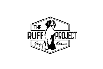 design a professional animal and pet logo