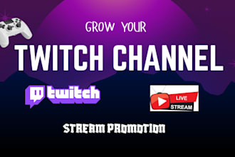 promote your youtube or twitch live stream using ads and SEO strategy