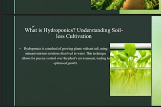 create professional powerpoint presentation