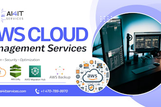 manage AWS cloud migration security and optimization