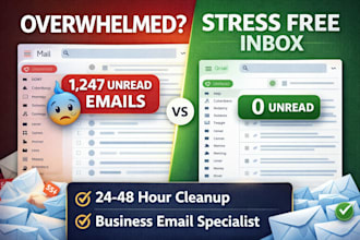 professionally clean and organize your email inbox