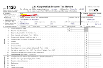 prepare and file US llc tax returns 1040nr 1065 1120 1120