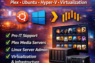 provide expert IT support and plex media, linux server administration services