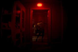 create a custom 3d horror game, in unity engine