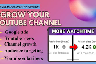 do google ads promotion, youtube seo, you tube promotion for channel growth