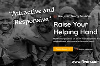 design a professional nonprofit or charity website with donation system