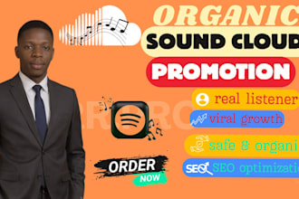 do professional soundcloud optimizations for music track