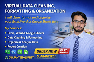 entry, format and organize your excel, word or google sheets data