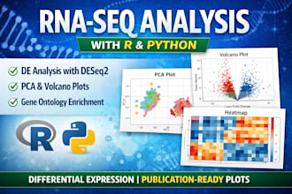 perform rna  seq differential expression analysis using r and python