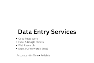 accurate data entry with on time delivery and full manual work