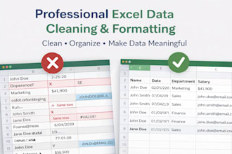 clean, format, and organize excel data create excel dashboards and reports