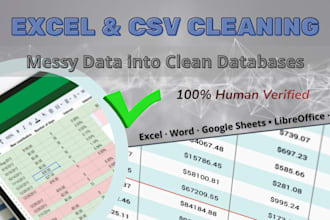 clean and structure your excel data