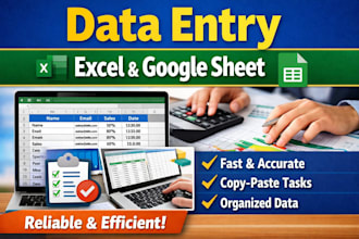 accurate and professional data entry with expert spreadsheet management