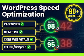 fix core web vitals, inp errors and wordpress performance