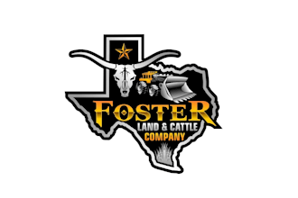 create attractive and imagination western logo design