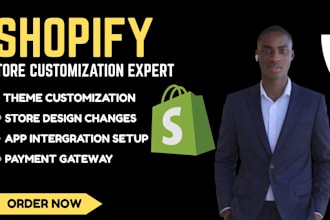 shopify store or redesign a  shopify store dropshipping store redesigning