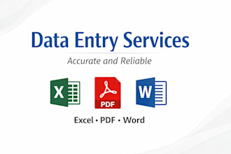professional data entry expert