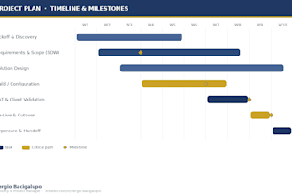 create your project plan, scope sow and delivery roadmap