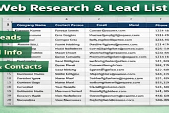 do accurate excel data cleaning, analyzing, validation