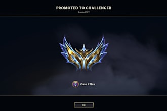 help you on tft with coaching, vods, double up, challenger 1k lp, set 17 coach
