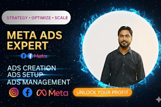 setup and manage meta ads for facebook and instagram