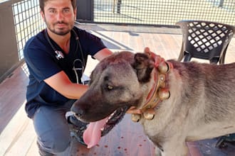 give online dog health and nutrition advice