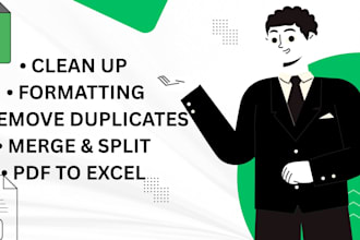 professionally clean and organize large excel datasets