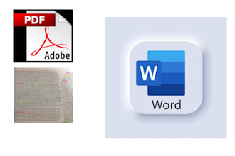 retype PDF, images, screenshots, non editable file in ms word