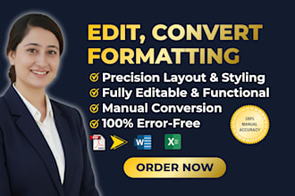 do professional ms word document formatting and PDF to excel or word