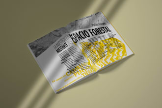 create modern magazine or book layouts