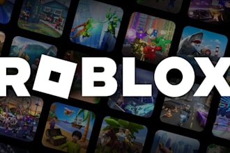 develop a custom roblox experience for you