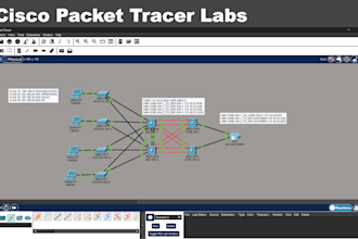 solve cisco ccna packet tracer labs with explanation