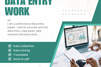 do fast and professional data entry work and copy paste,
