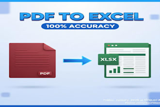 do data entry and convert PDF to excel