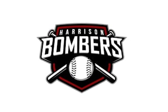 design professional baseball team logo
