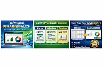 do data analysis and advanced microsoft excel