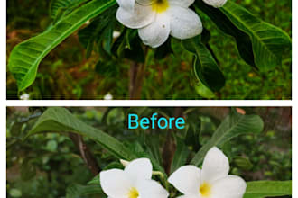 convert colourless photo into colour photo and restore