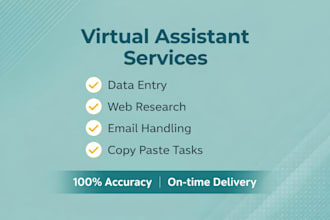 be your virtual assistant for data entry and admin tasks
