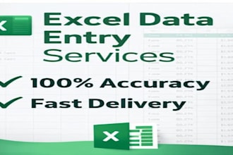 accurate data entry and excel work