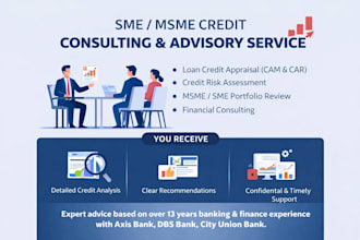 provide professional msme and sme credit analysis and financial consulting