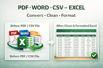 convert PDF, word, and CSV to excel and oranize your data