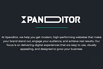 design and develop a professional wordpress or shopify website for your business