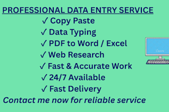 do professional data entry, typing and ms word formatting