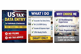 enter data from tax forms into proconnect, drake, turbotax