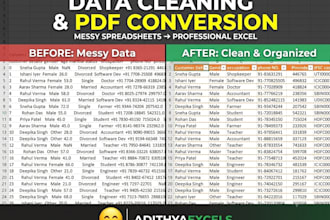 convert PDF to excel, clean data, and organize messy spreadsheets